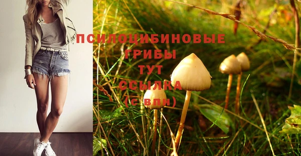 мескалин Абинск