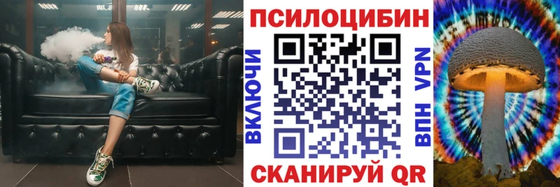 Псилоцибиновые грибы Psilocybe  что такое наркотик  Красноармейск 