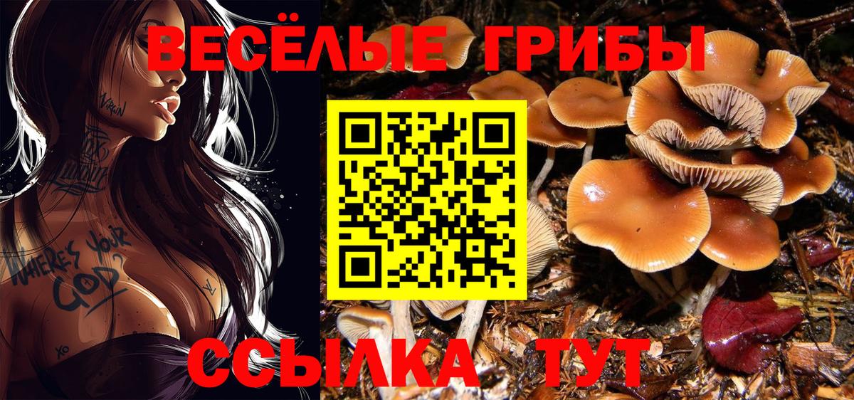 Псилоцибиновые грибы ЛСД Красноармейск